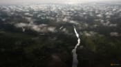 Global Witness names Chinese firm for illegal logging in DR Congo